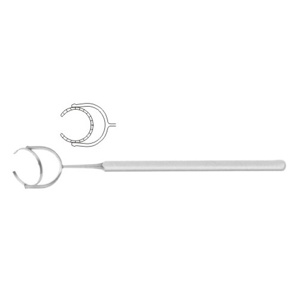 Fixation Rings
